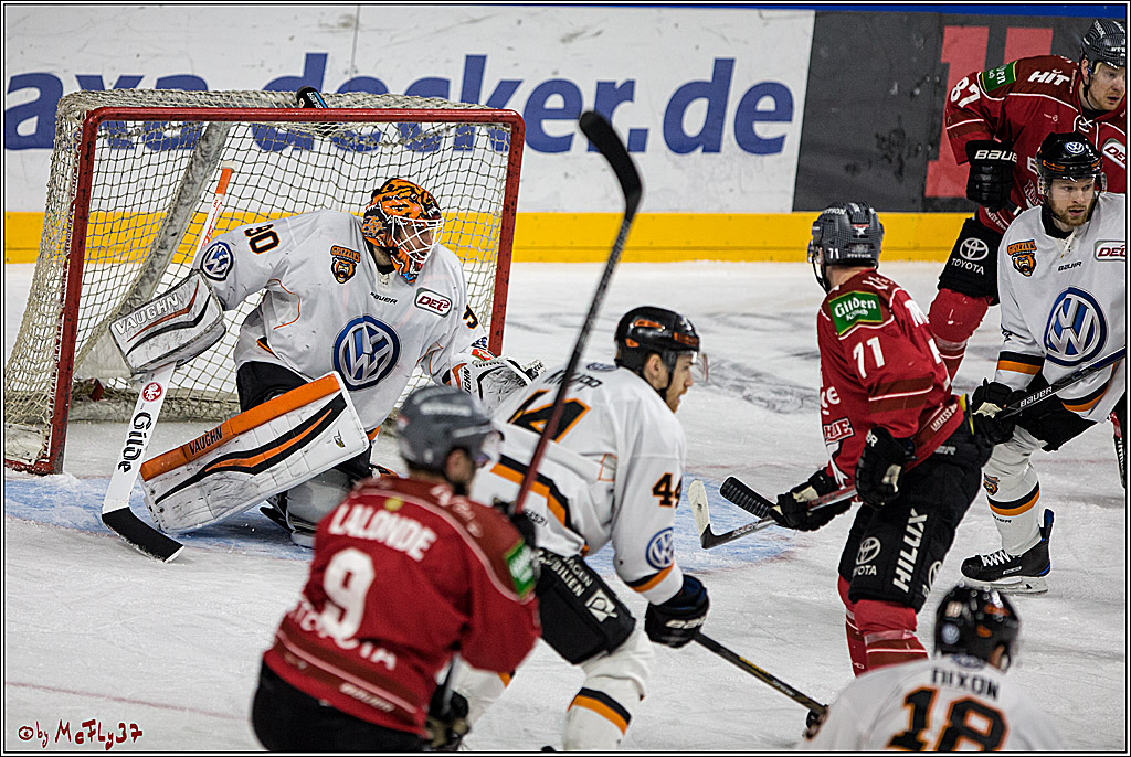 DEL, Koelner Haie - Grizzlys Wolfsburg, 21.03.2017